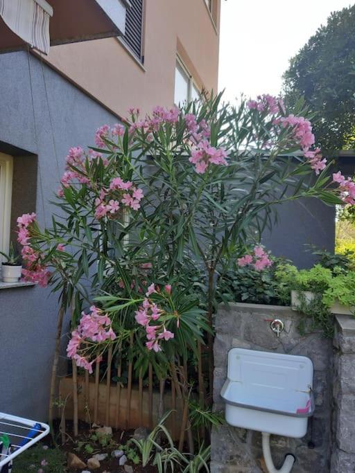 Apartman Modric Draga Mošćenička Draga Esterno foto